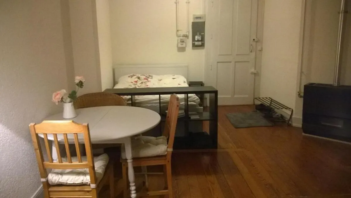 Apartment Studio Sublet In Geneva Center Switzerland